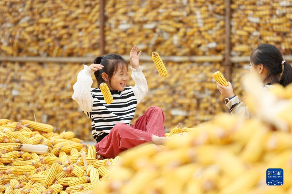 启航娱乐注册入口